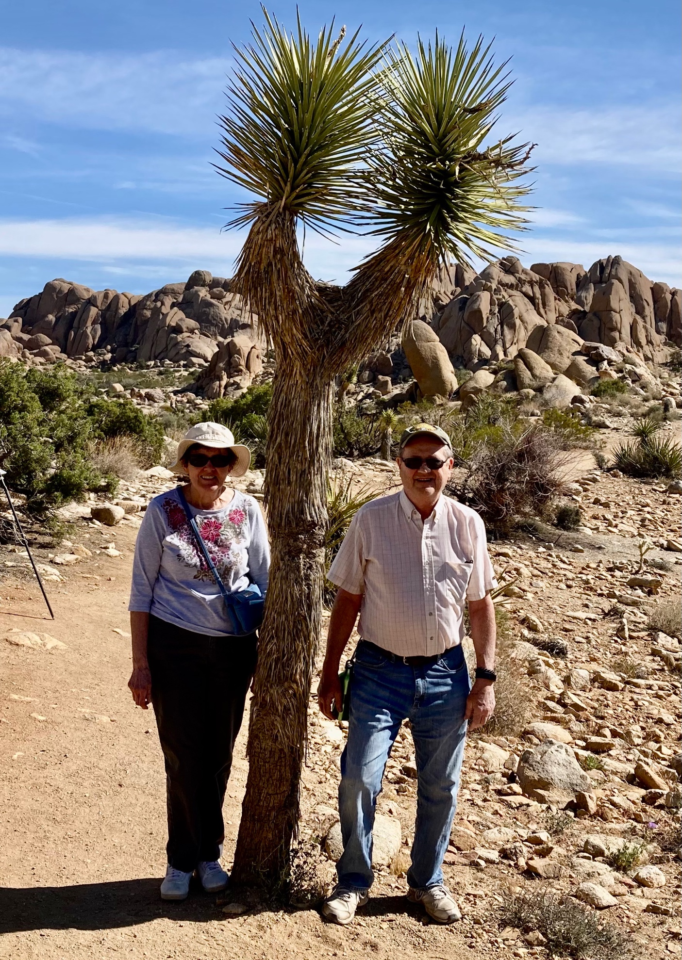 A person and person standing next to a tree

Description automatically generated with medium confidence