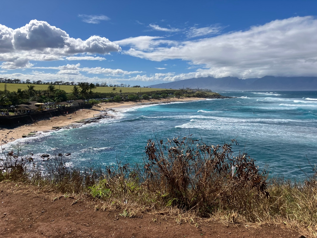 A beach with waves crashing on the shore

AI-generated content may be incorrect.