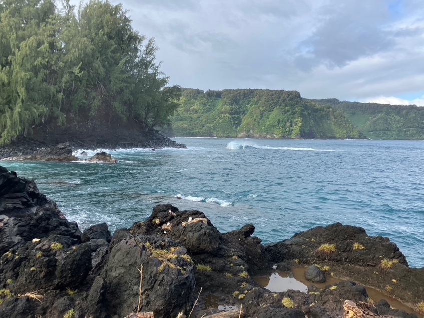 A rocky shore with trees and mountains in the background

AI-generated content may be incorrect.