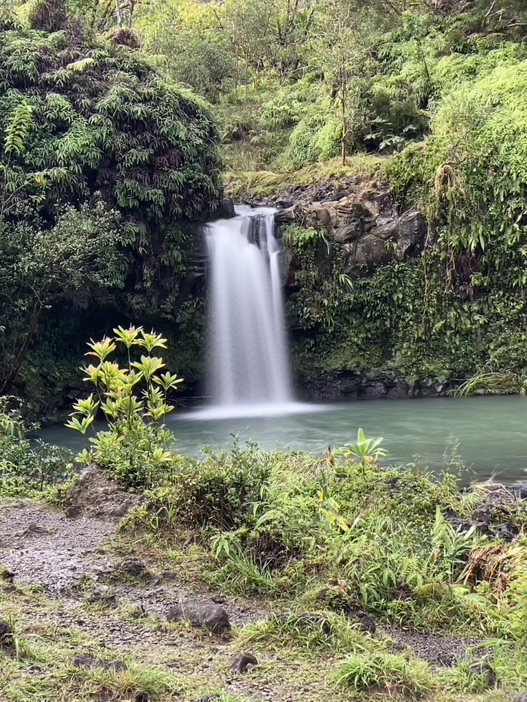 A waterfall in a forest

AI-generated content may be incorrect.