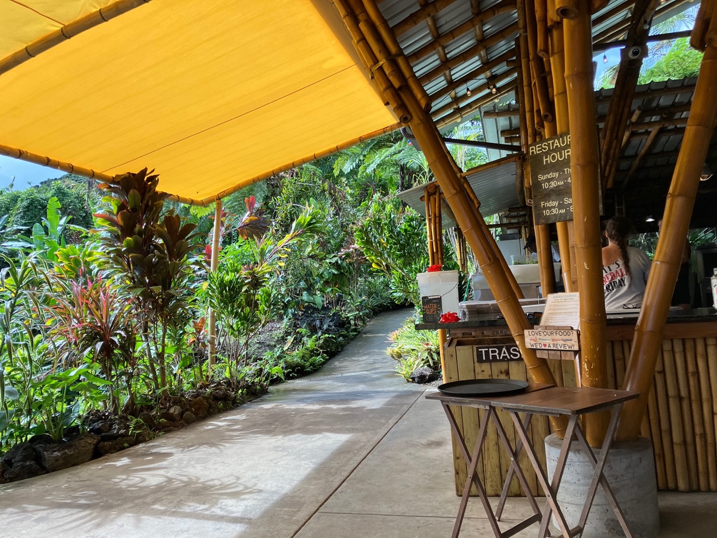 A walkway with a yellow awning and trees

AI-generated content may be incorrect.