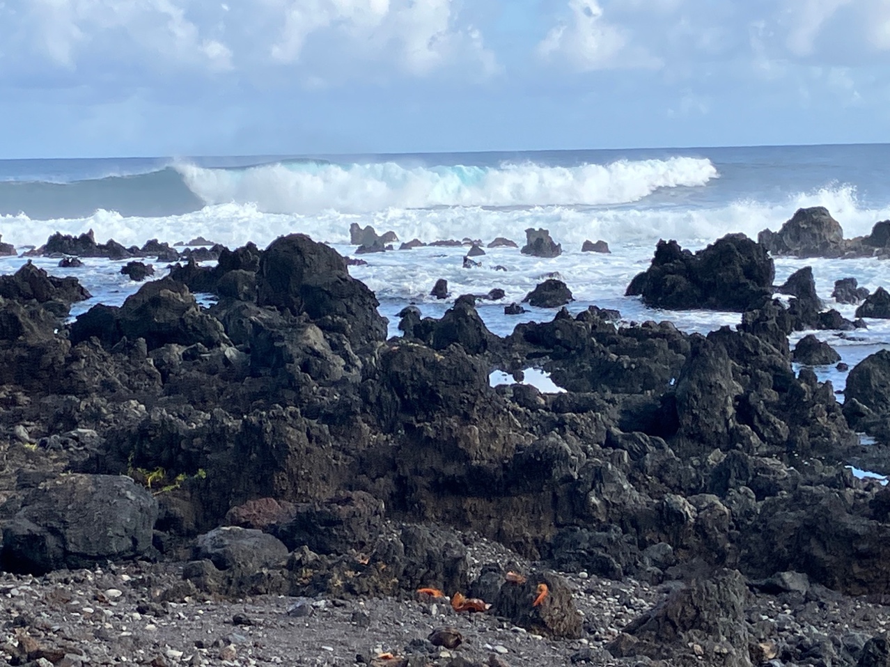 A rocky beach with waves crashing on it

AI-generated content may be incorrect.