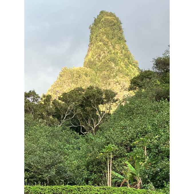 A tall mountain with trees and bushes

AI-generated content may be incorrect.