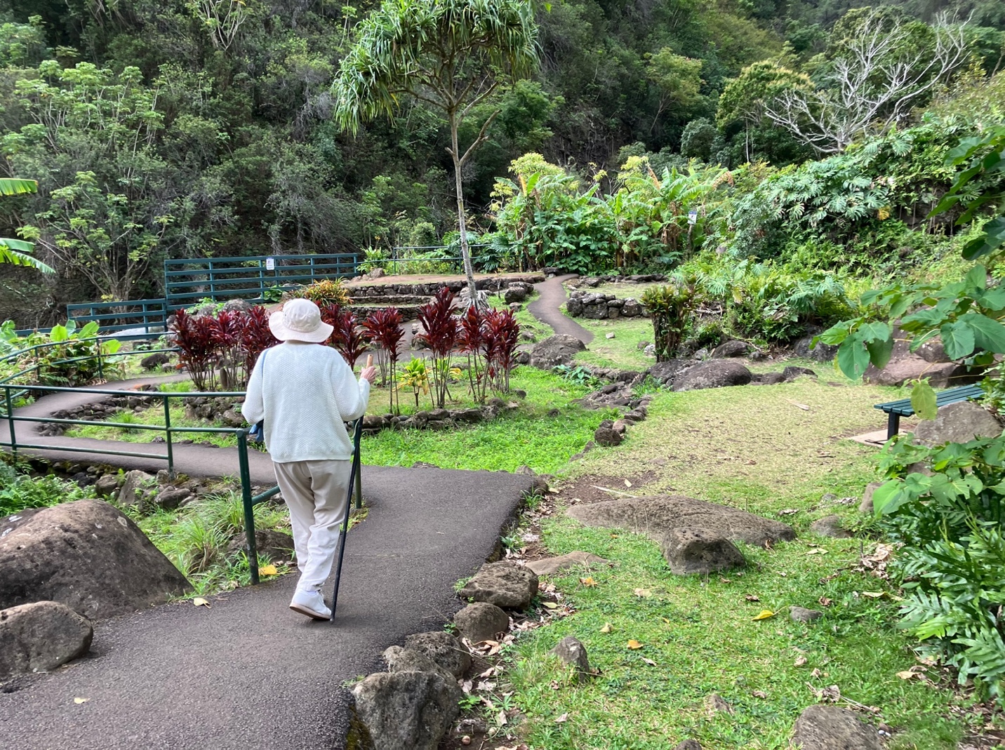 A person walking on a path

AI-generated content may be incorrect.