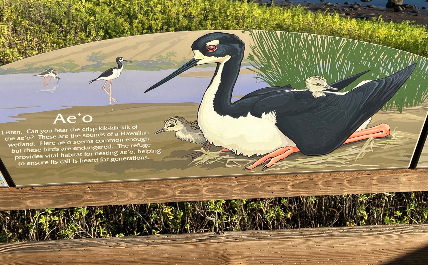 A sign with birds on it

AI-generated content may be incorrect.